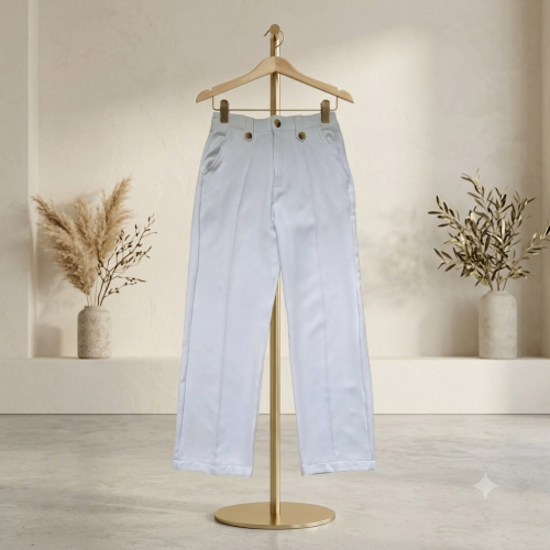 Premium Formal Pants For Men