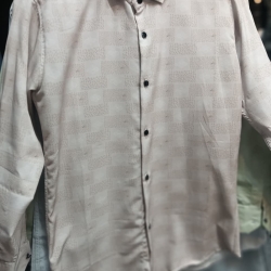 Linen Printed Casual Full Sleeve Shirt